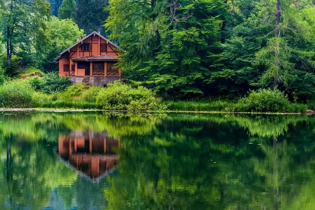 A timber house among trees, reflected in still water